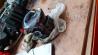 IMG-20201227-WA0000.jpeg
